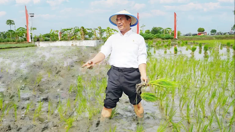 Menteri Pertanian Andi Amran Sulaiman terjun langsung ke sawah menanam padi