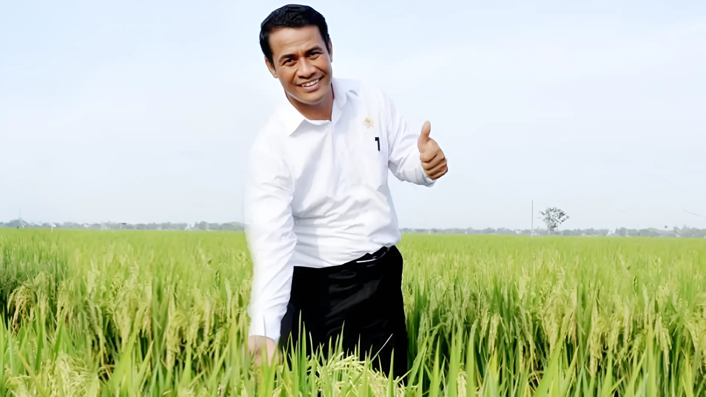 Andi Amran Sulaiman tersenyum dan memberikan jempol di tengah sawah padi hijau yang subur